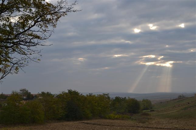Codrii Hertei/DSC_0004.jpg